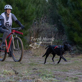 User avatar for Bronwyn Hughes