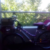 User avatar for Michelle Bishop