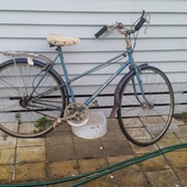 User avatar for Harley Dibble