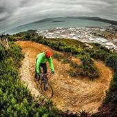 User avatar for Jordan Roy