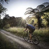 User avatar for Neil Hutton