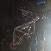 User avatar for Nikki Grant