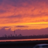 User avatar for Rebecca Vertongen