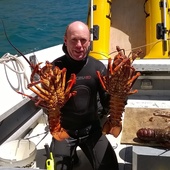 User avatar for Richard Ford