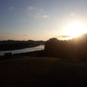 User avatar for Andy Dodds