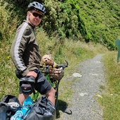 User avatar for David Grainger