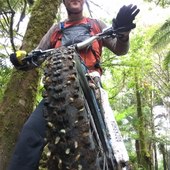 User avatar for Murray Ogilvie