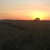 User avatar for Paul Danes