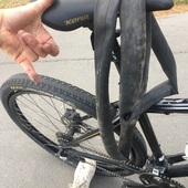 User avatar for Aliesha Mcgilligan 