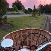 User avatar for Charlotte Vanhecke