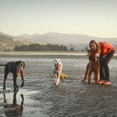 User avatar for Amanda Church