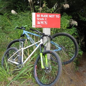 User avatar for Michelle Peterson