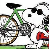 User avatar for N Brown