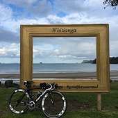 User avatar for Vicki Martin