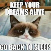 User avatar for Robert Moore