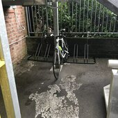 User avatar for Craig Fitzgerald