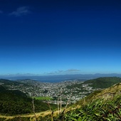 User avatar for Seb Brown