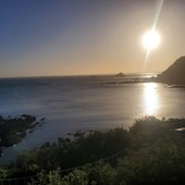 User avatar for Anne Marie Morrison