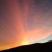 User avatar for Mark Snalam