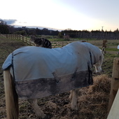 User avatar for Andrew Noble