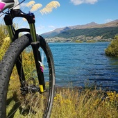 User avatar for Amanda Taylor