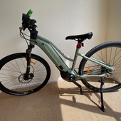 User avatar for Ursula Gilligan