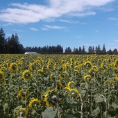 User avatar for Chris Moeller