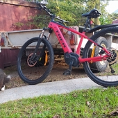 User avatar for Eli Sparks