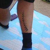 User avatar for Robin Collis