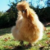 User avatar for Jenny Buckley