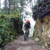 User avatar for Greg Schaaf