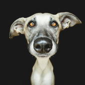 User avatar for Mike Cochrane