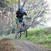 User avatar for Matt Corich