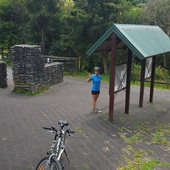 User avatar for Lynn Taylor