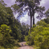 User avatar for Lance Wiltshire