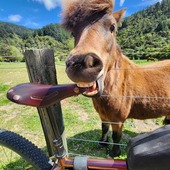 User avatar for Phillip Webby