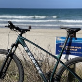 User avatar for Mark Taylor