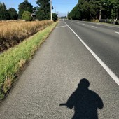 User avatar for Suzanne Knowler