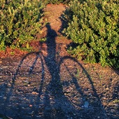 User avatar for Magda Meredith