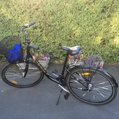 User avatar for Lynley Mulrine