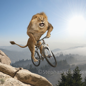 User avatar for S Euverink