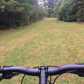 User avatar for Aidan Salmon