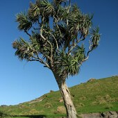 User avatar for Jennifer Dray