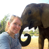 User avatar for Alicia Tomchuk