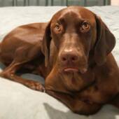 User avatar for Jonathan Stewart