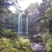 User avatar for Anahera Lauterbach