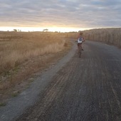 User avatar for Helen Daryl Bonis