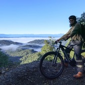 User avatar for Paul Henare