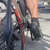 User avatar for Mark Wattie