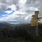 User avatar for Nick Dowden